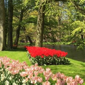 Meet your Posher, Mya